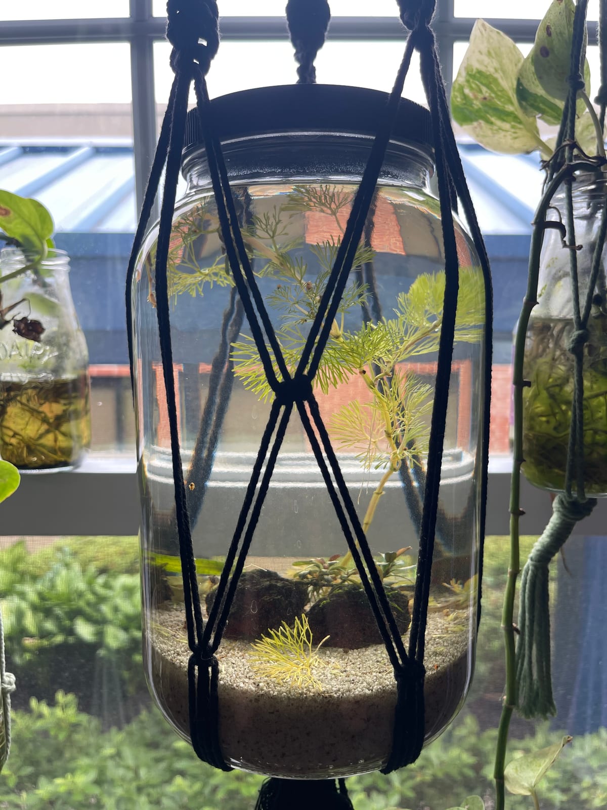 Tall Zen Jarden prototype jar in bright window light